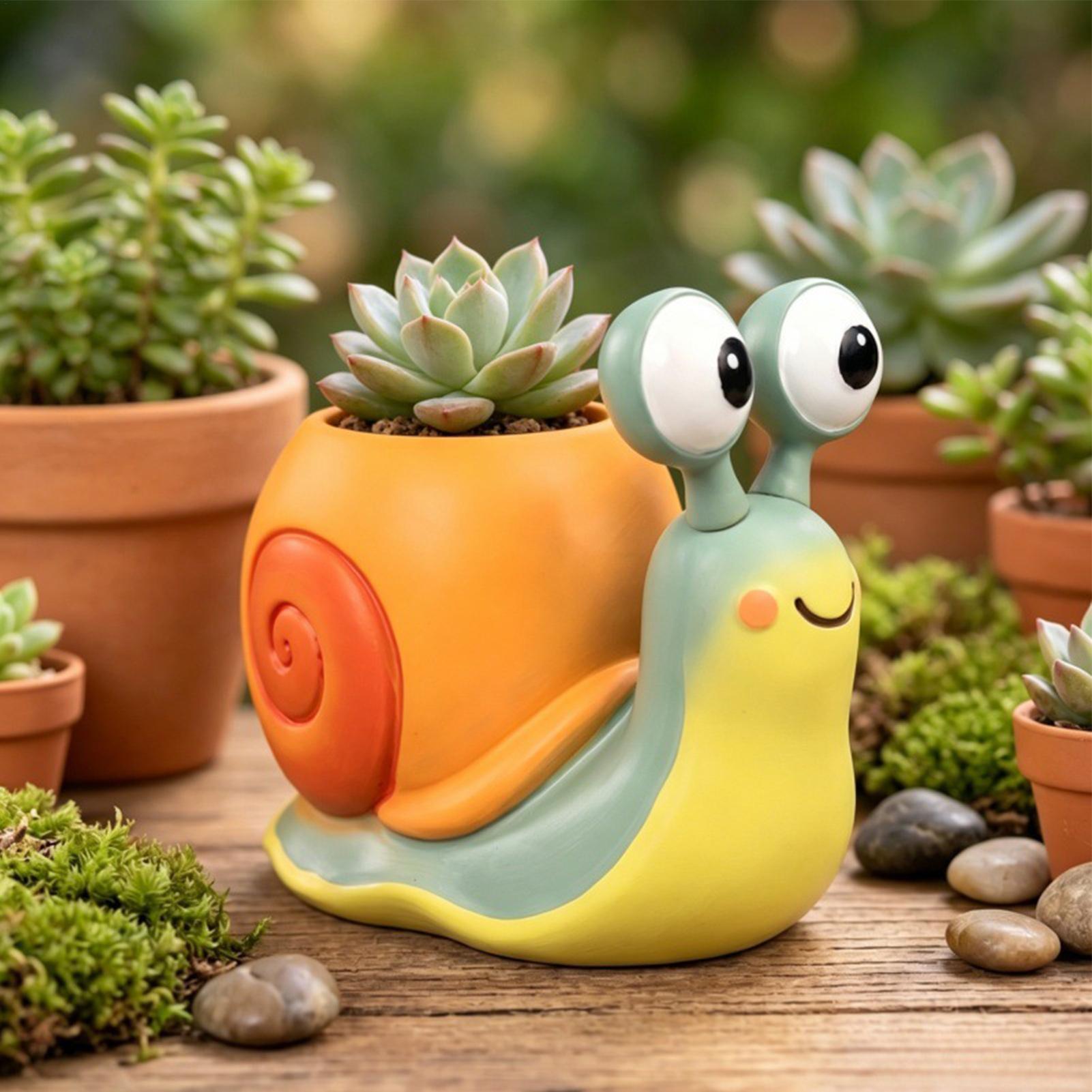 Maceta con forma de caracol, s - Echeveria Succulent reseña y precio