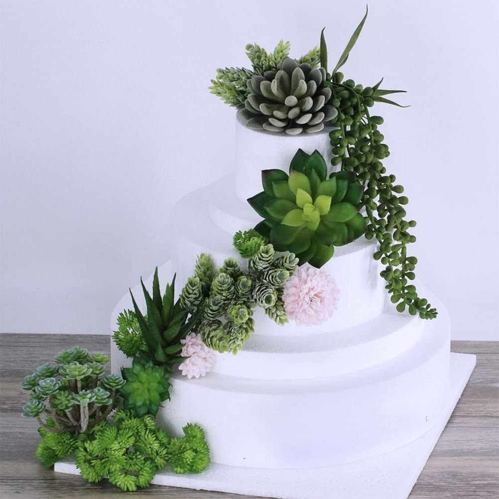 15 Uds plantas suculentas arti - Echeveria Succulent reseña y precio
