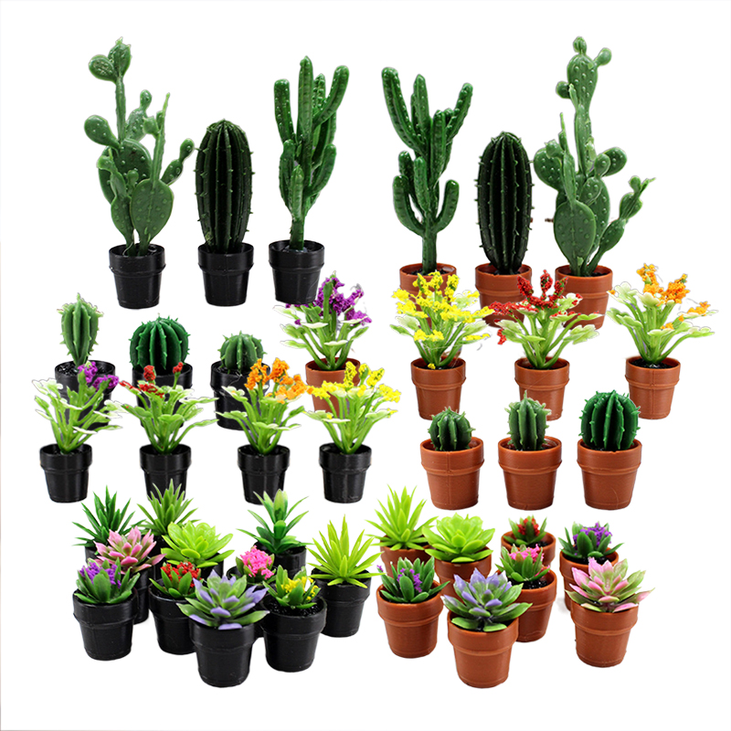 8 plantas en macetas de plásti - Echeveria Succulent reseña y precio