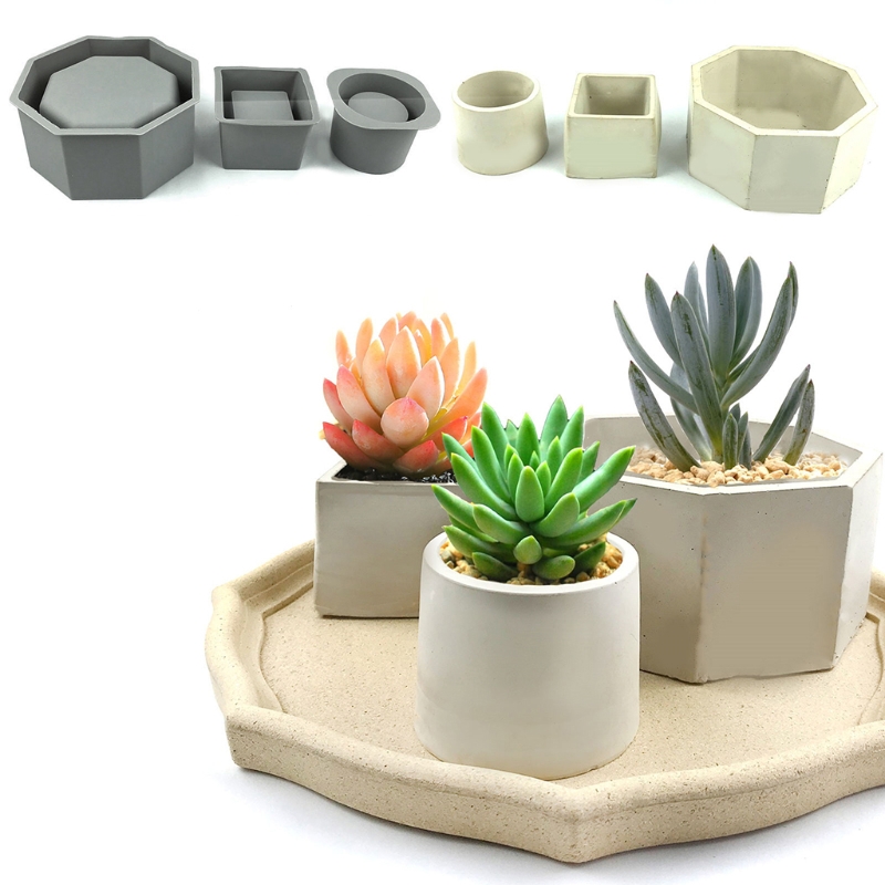 Maceta suculenta hecha a mano, - Echeveria Succulent reseña y precio