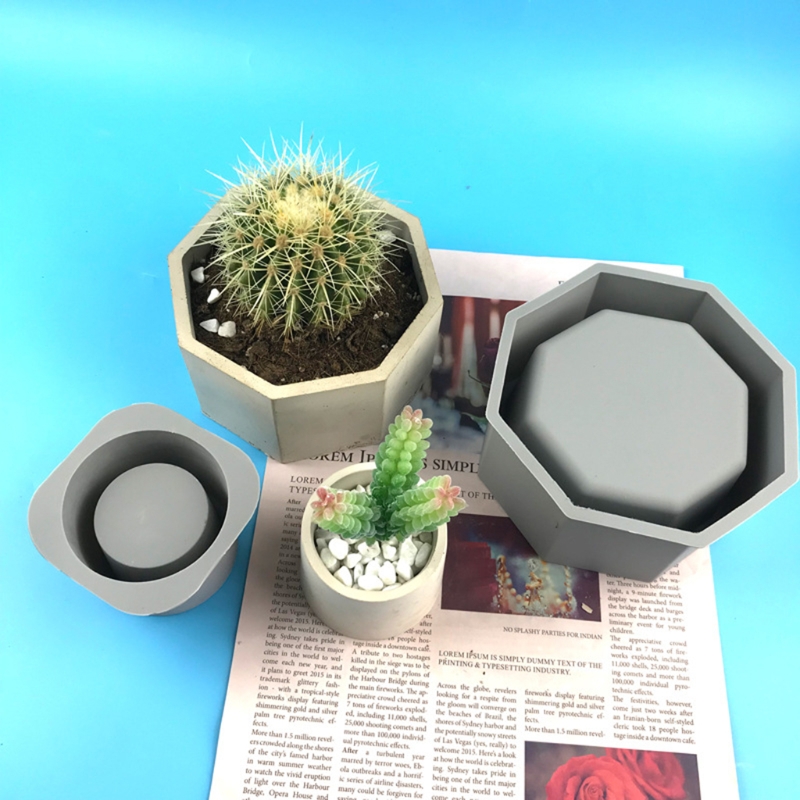 Maceta suculenta hecha a mano, - Echeveria Succulent reseña y precio