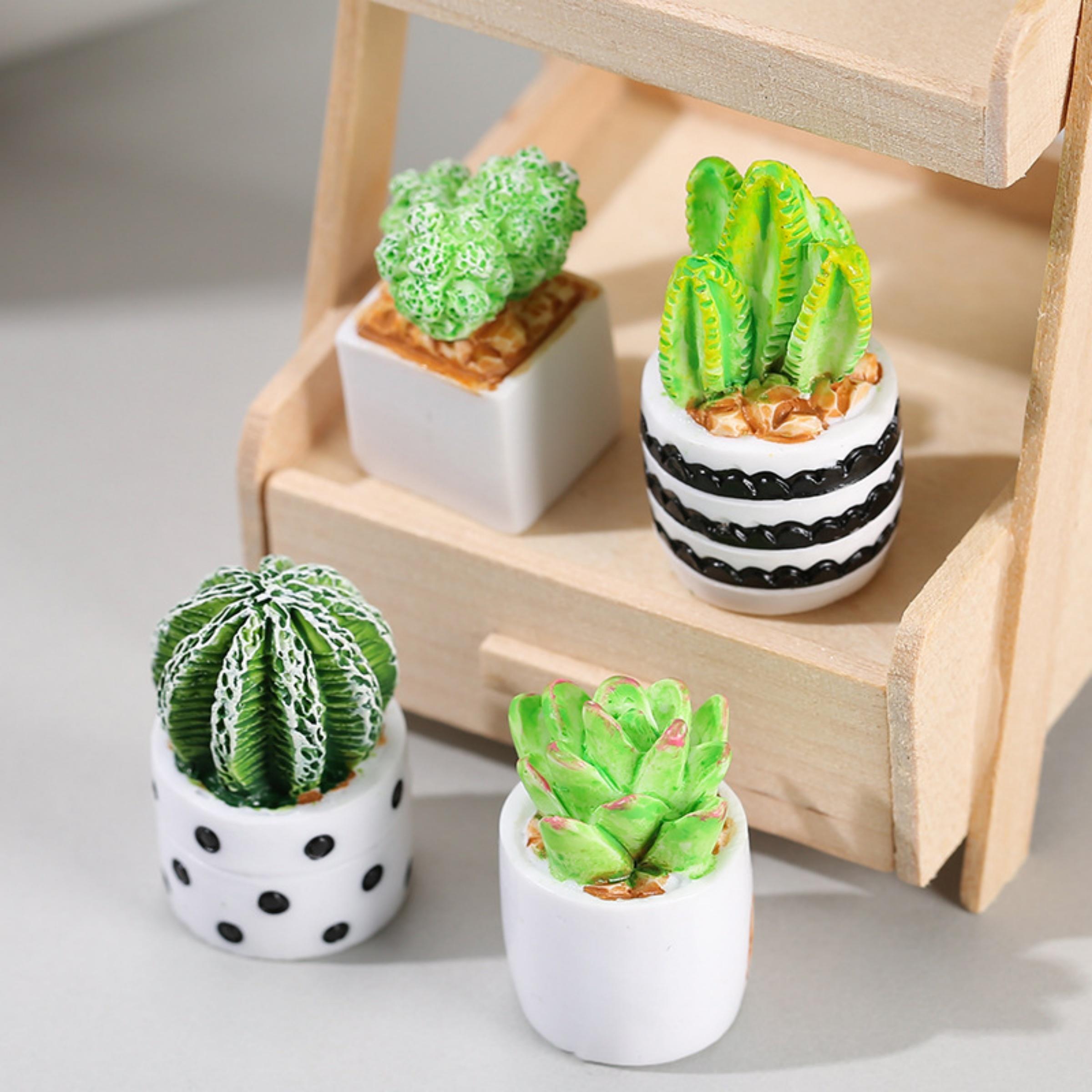 Juego de 4 Macetas con Plantas - Echeveria Succulent reseña y precio