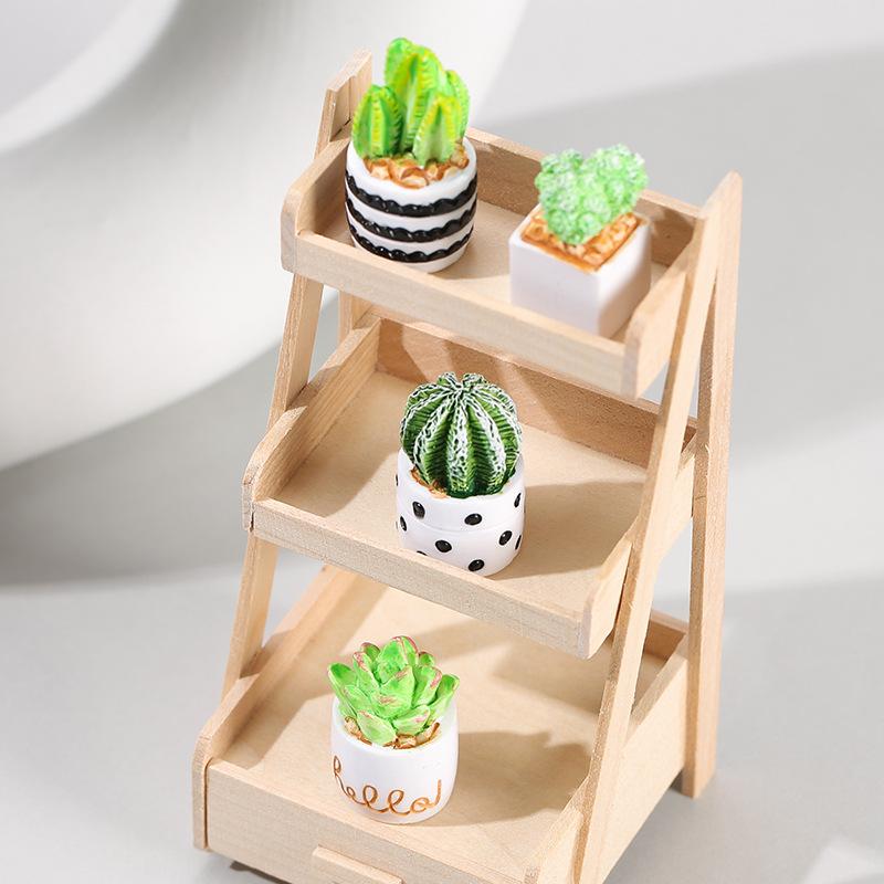 Juego de 4 Macetas con Plantas - Echeveria Succulent reseña y precio