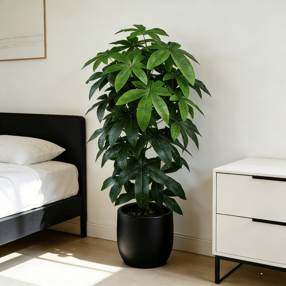 Árbol del Dinero Artificial Pa - Ficus Lyrata Tree reseña y precio